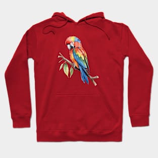 Rainbow Parrot - Joy of Colour Hoodie